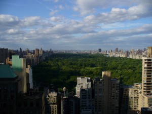 Central Park View