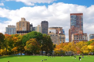 CentralPark&Buildings